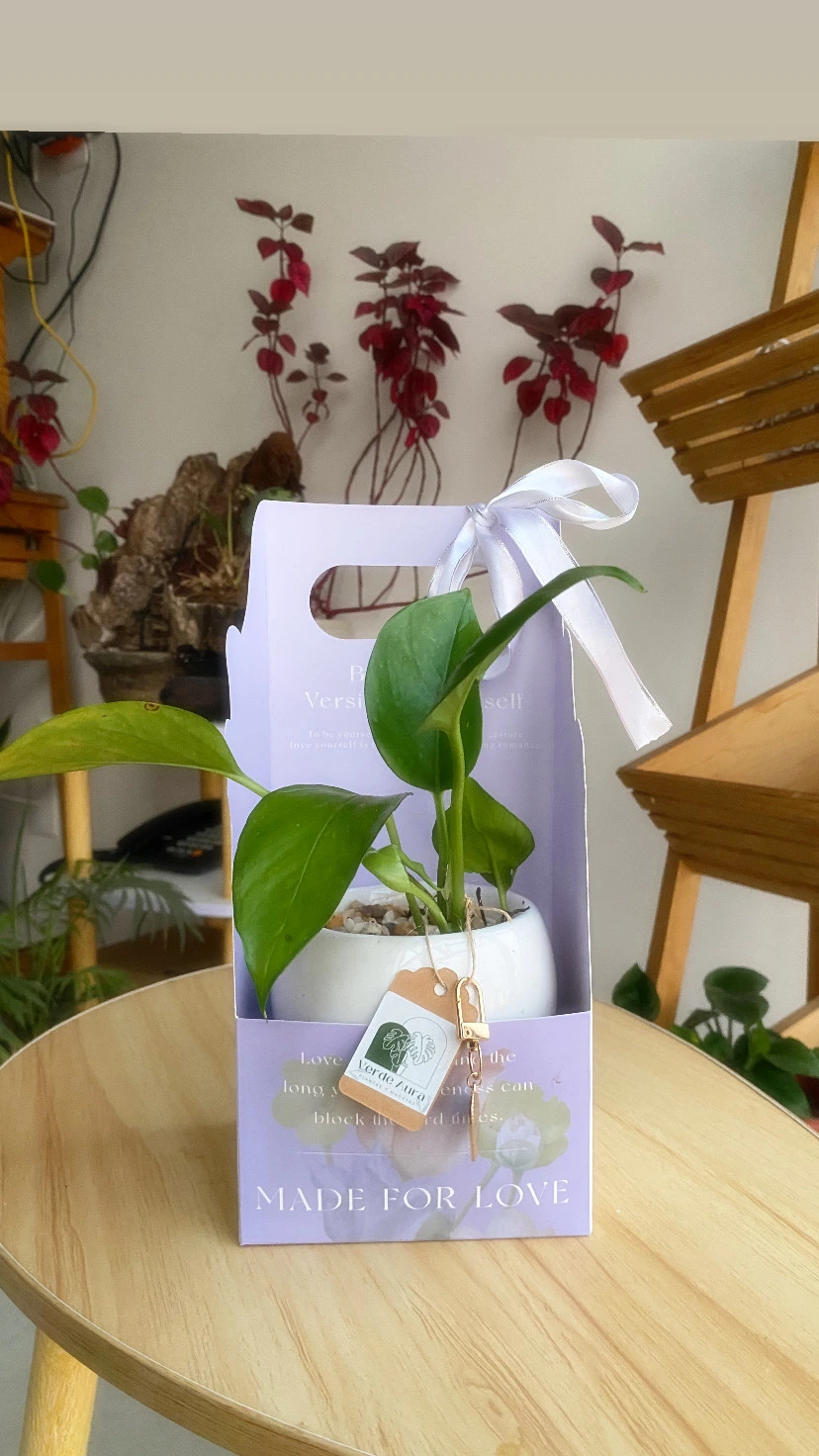 Kit Esfera